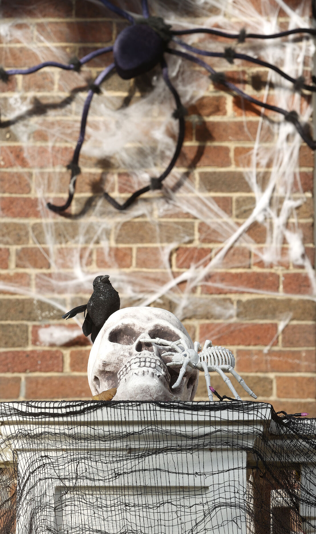 20221026_MET_HALLOWEEN_AWE01
